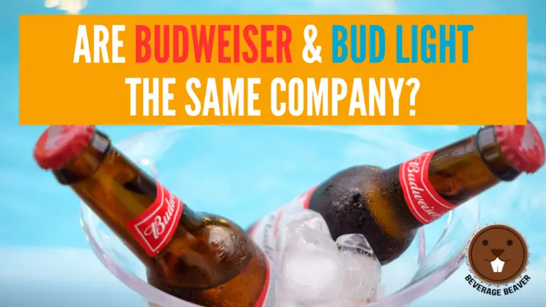Are Budweiser & Bud Light The Same Company? (Explained)