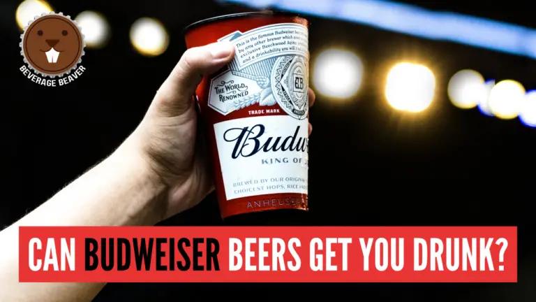Can Budweiser Beers Get You Drunk? (Original, Bud Light, Zero)