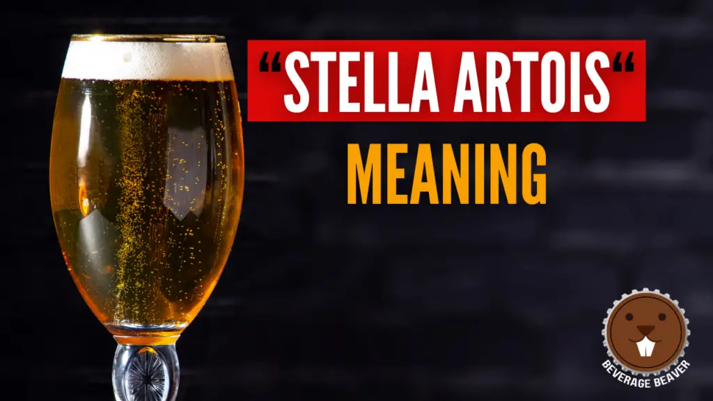 A glass of Stella Beer next to the title "Stella Artois meaning"