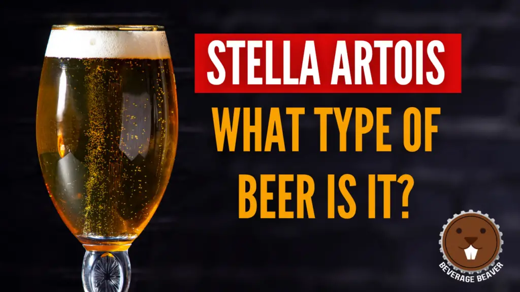 A picture of Stella Artois beer with the question 'What type of beer is it?"