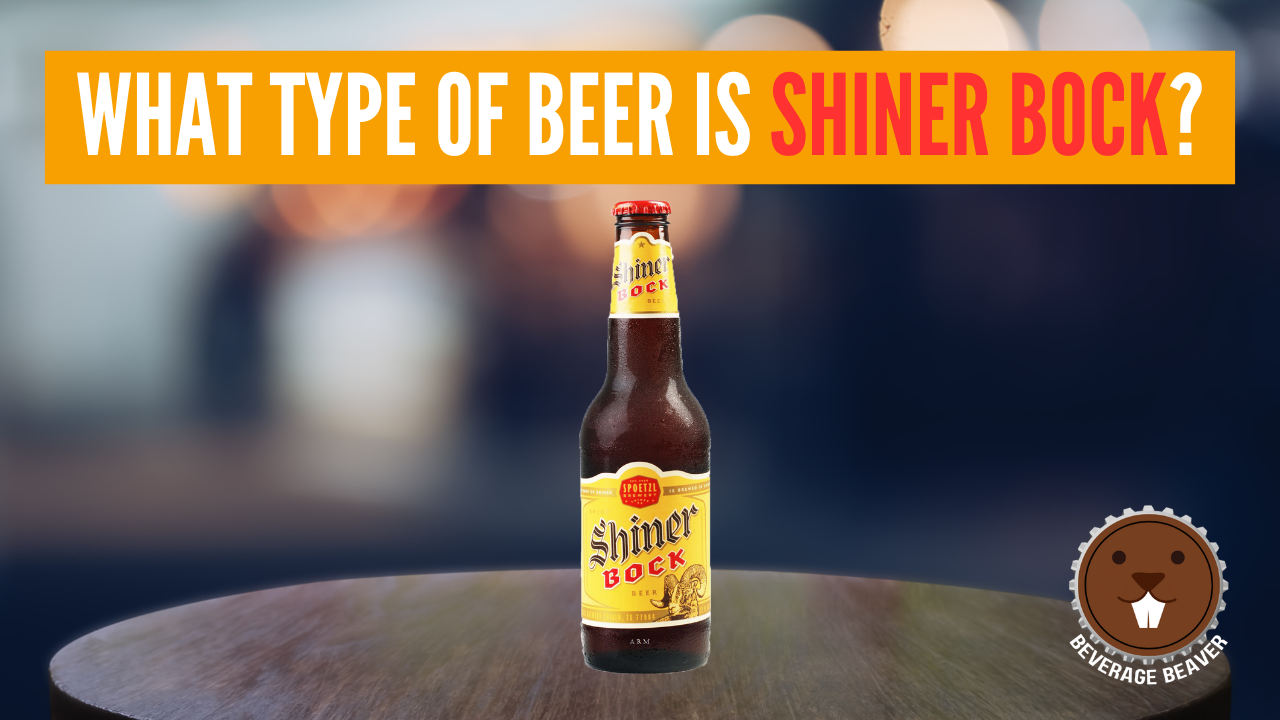A Bottle Of Shiner Bock On A Table With the Heading 'What Type Of Beer Is Shiner Bock?'