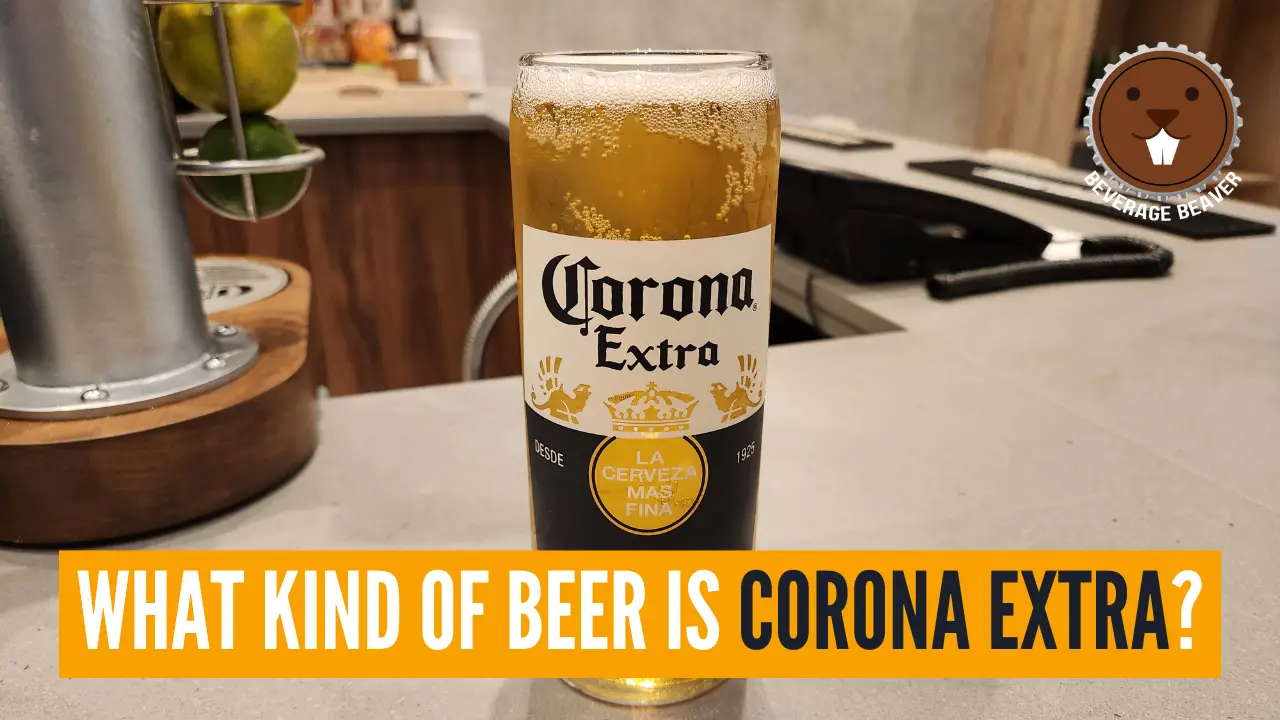 A glass of Corona Beer with the caption 'What Kind Of Beer Is Corona Extra?'