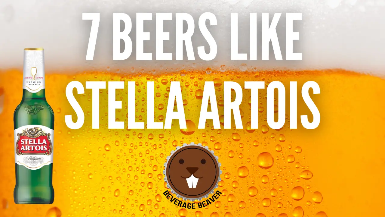 A bottle of Stella beer next to the title "Beers Like Stella Artois"