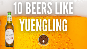 Read more about the article The 10 Best Beers Like Yuengling You Need To Try!