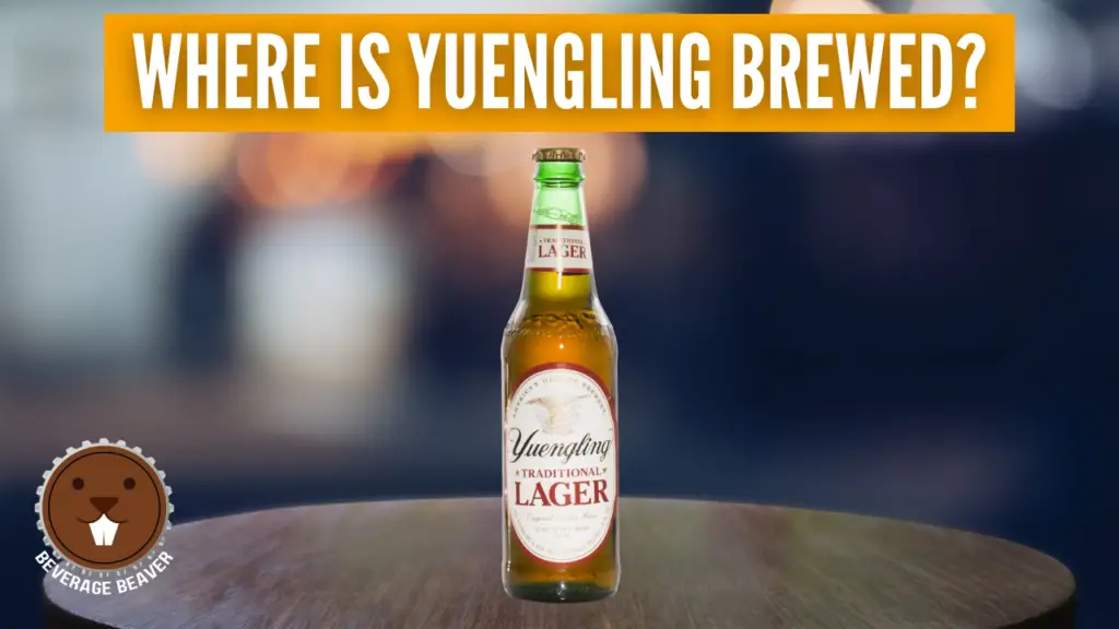 Where is Yuengling brewed?