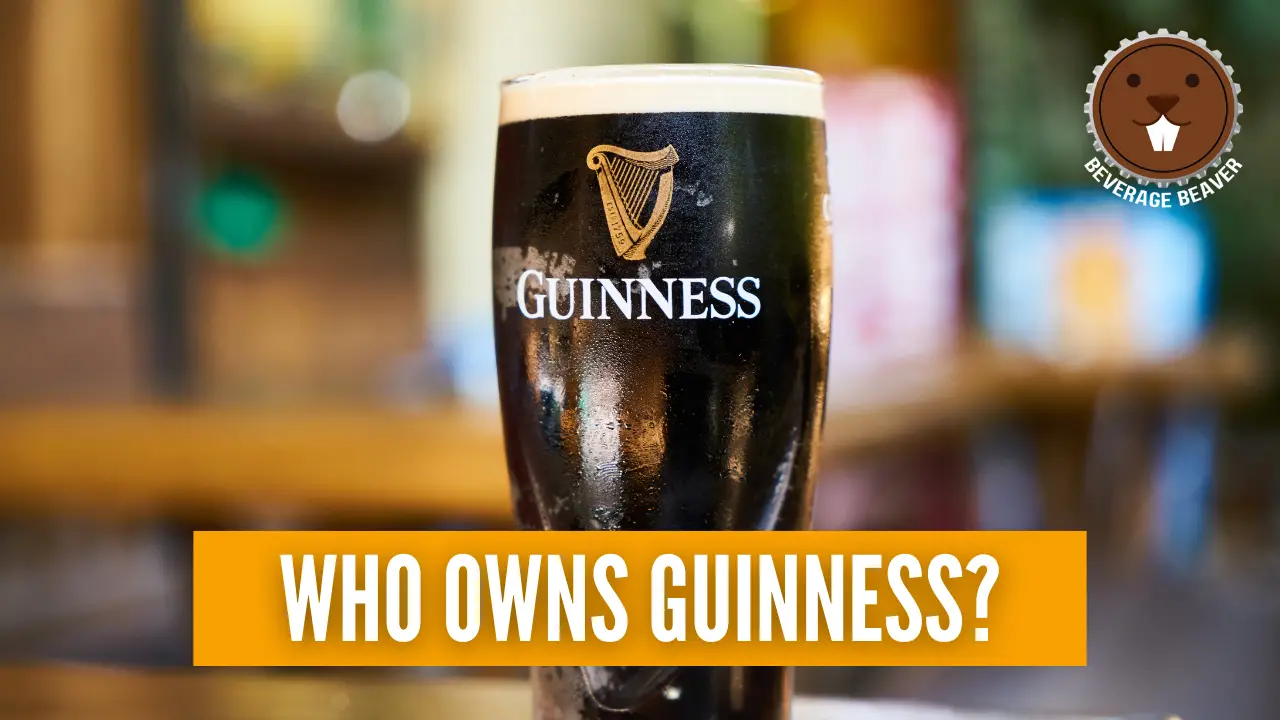 A pint of Guinness With the caption 'Who Owns Guinness?'