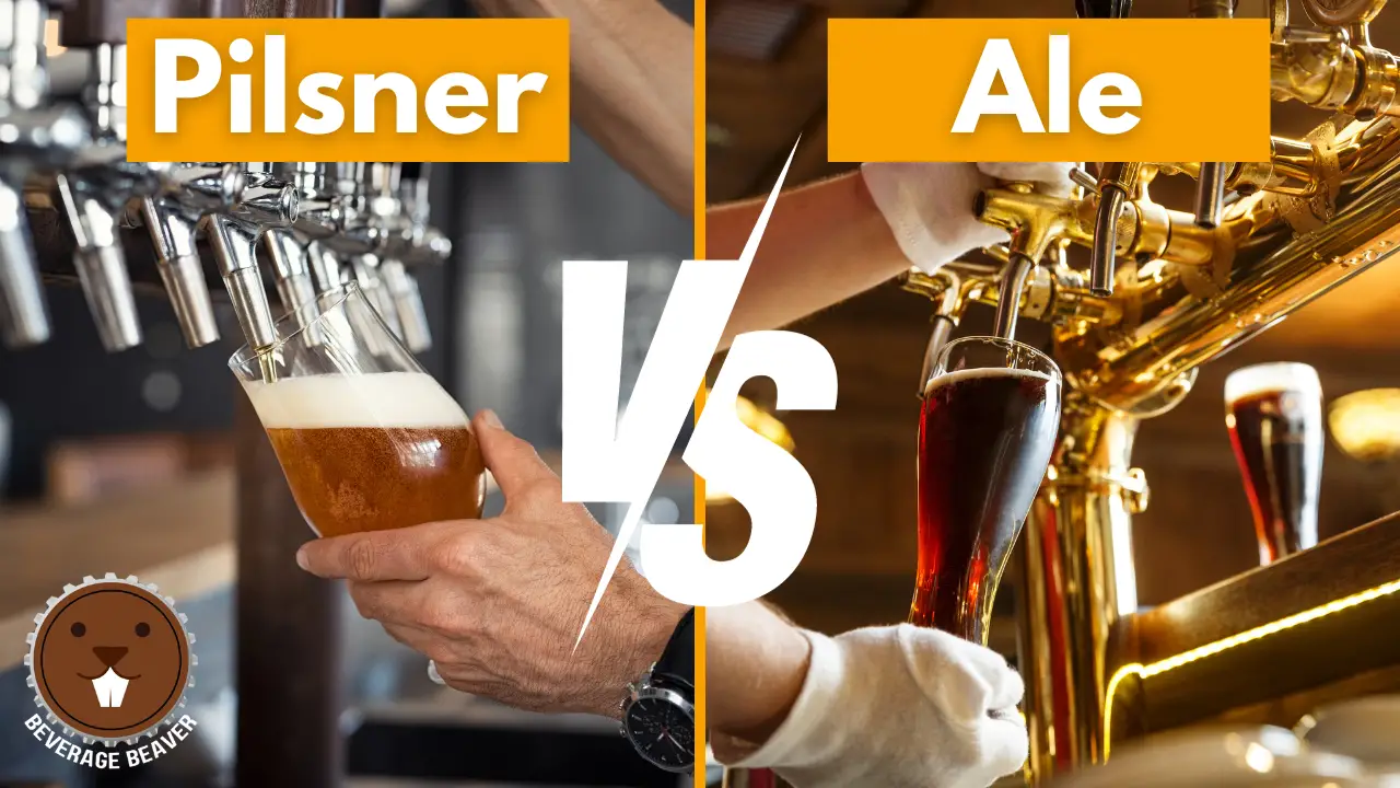 pilsner-vs-ale-understanding-the-difference-between-these-popular-beer