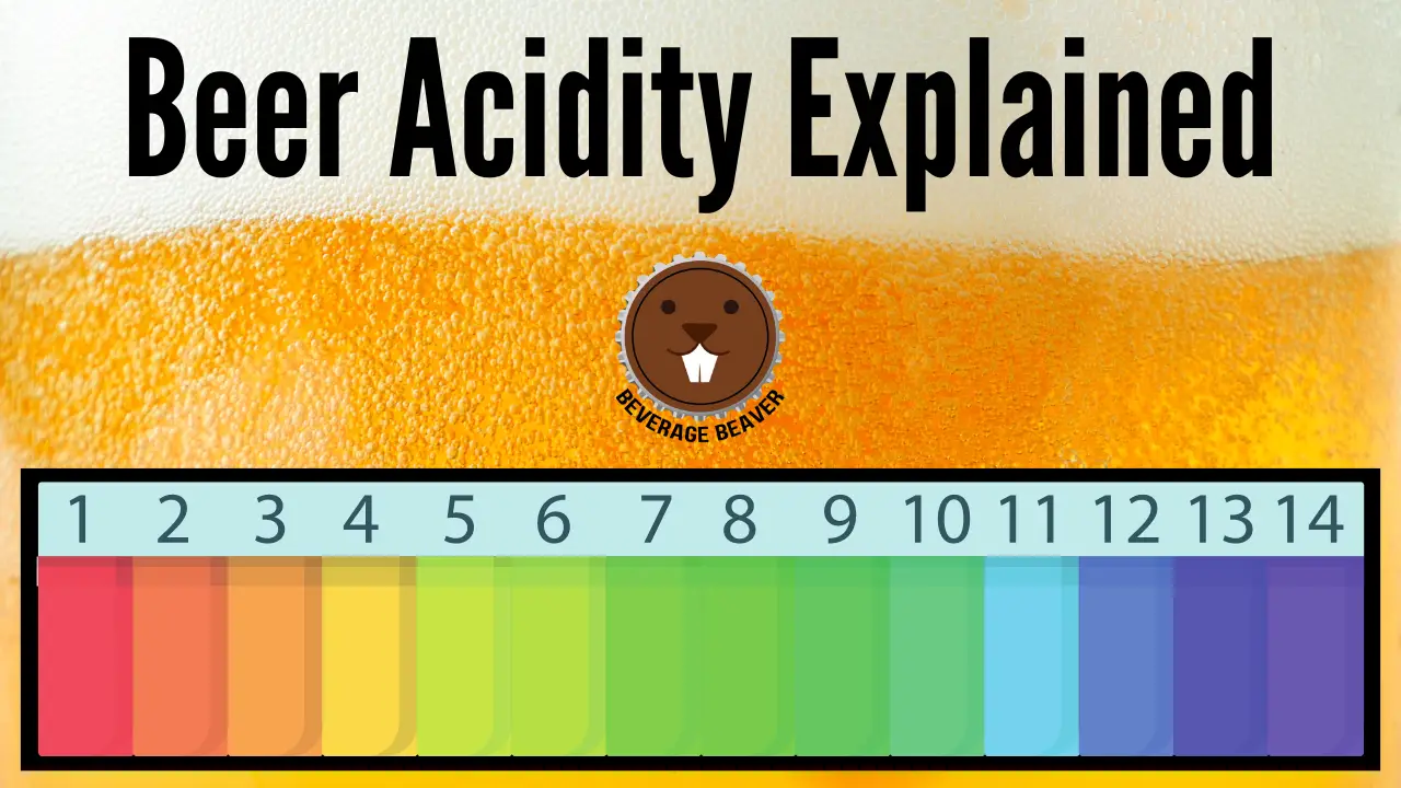 Featured image for a guide on Beer acidity