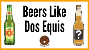 Read more about the article The Best Beers Like Dos Equis