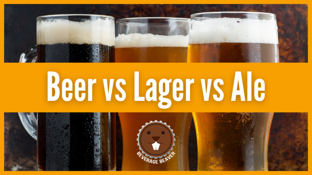 Beer vs Lager vs Ale
