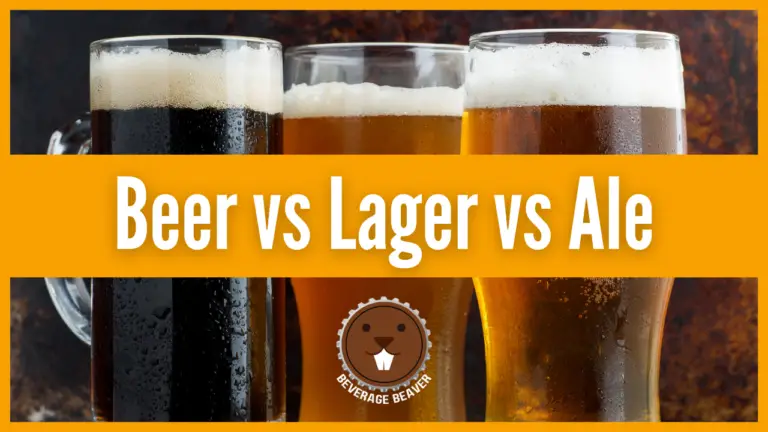 Beer vs Lager vs Ale | An Easy Guide To Understanding The Difference