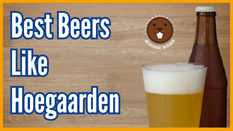 Beers Like Hoegaarden | 8 Delicious Witbiers You Should Try